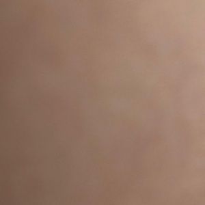 Meet your Posher, Taryn